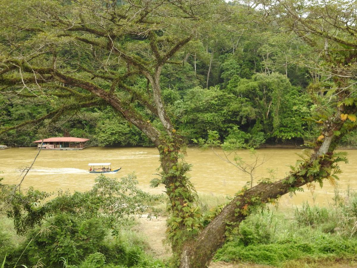 Tebing Guest House Taman Negara Malaysia กัวลาทาฮัน ภายนอก รูปภาพ