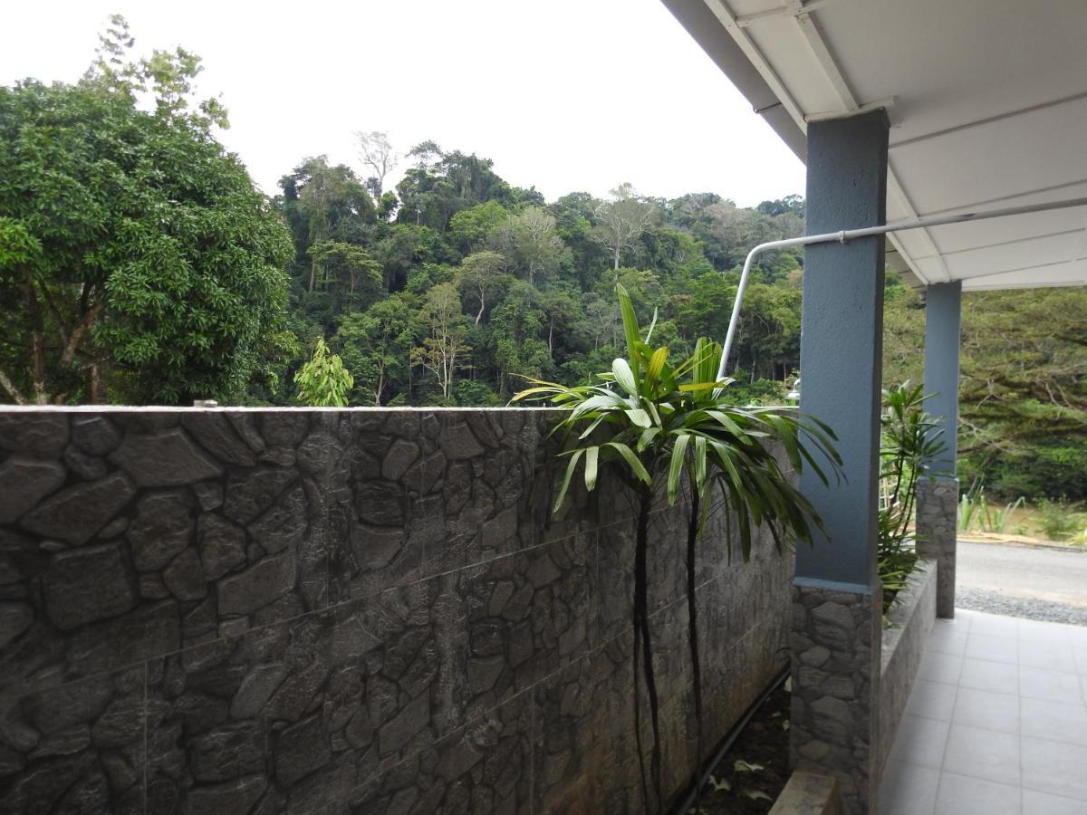 Tebing Guest House Taman Negara Malaysia กัวลาทาฮัน ภายนอก รูปภาพ
