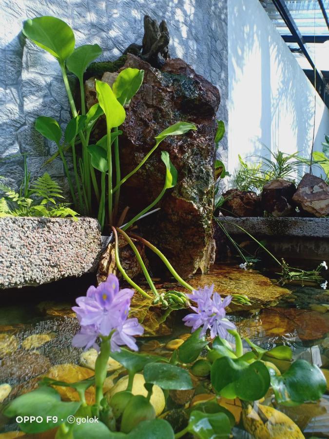 Tebing Guest House Taman Negara Malaysia กัวลาทาฮัน ภายนอก รูปภาพ