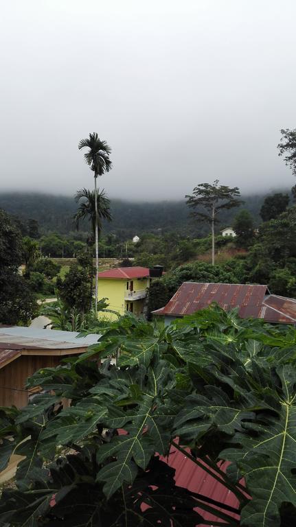 Tebing Guest House Taman Negara Malaysia กัวลาทาฮัน ภายนอก รูปภาพ